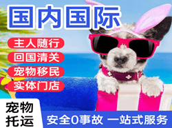抚远机场货运国际宠物托运 【国